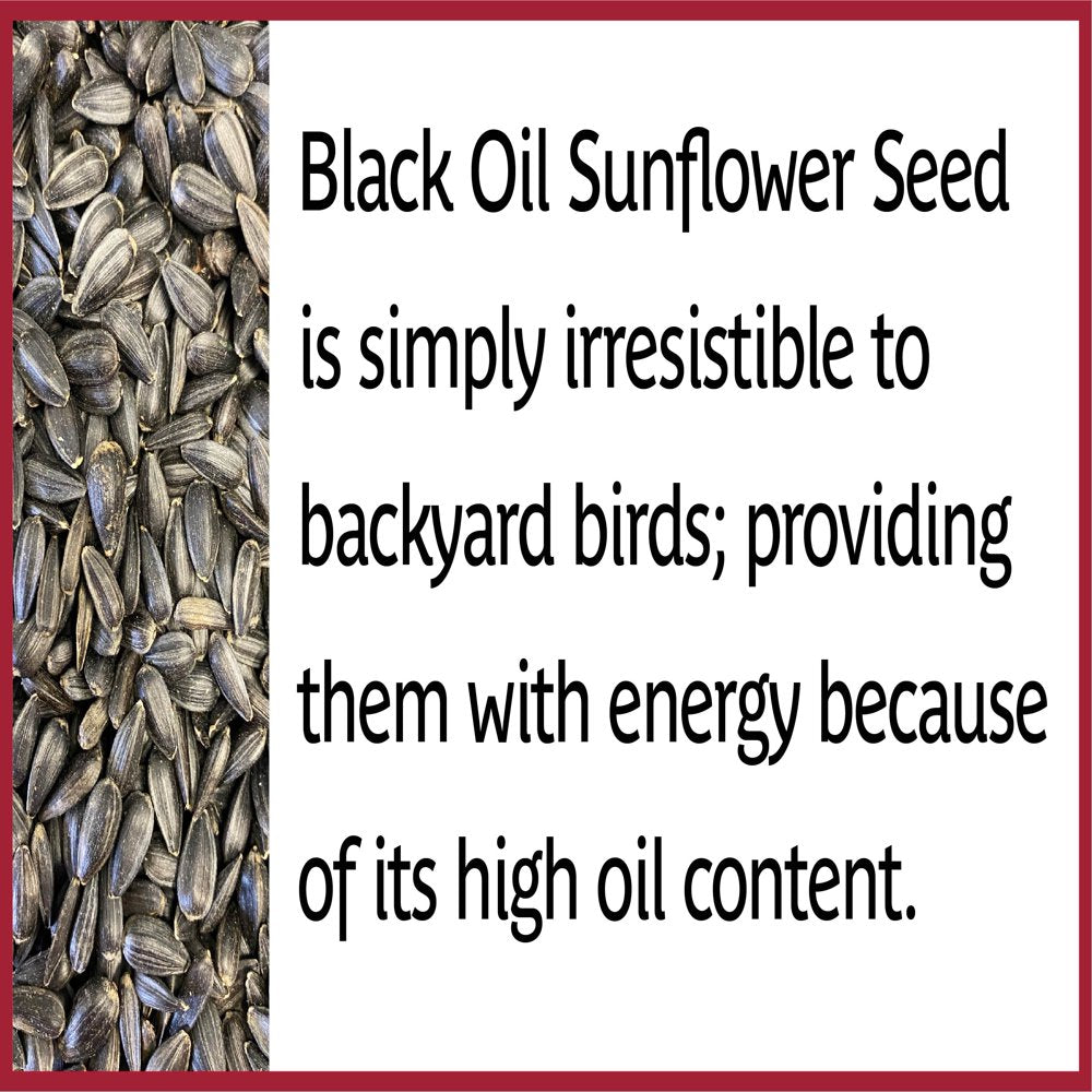 Pennington Select Black Oil Sunflower Seed Wild Bird Feed, 20 Lb. Bag ...