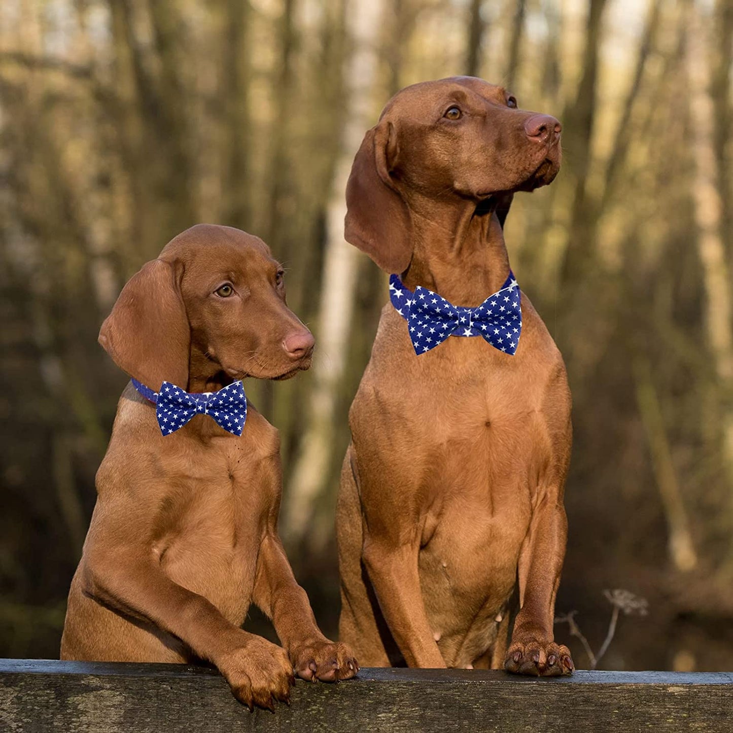 Wondrella American Flag Dog Collar, Cute Bowtie Dog Collars with Metal Buckle, Blue Pet Collar Bow Tie for Meduim Dogs Animals & Pet Supplies > Pet Supplies > Dog Supplies > Dog Apparel Wondrella   