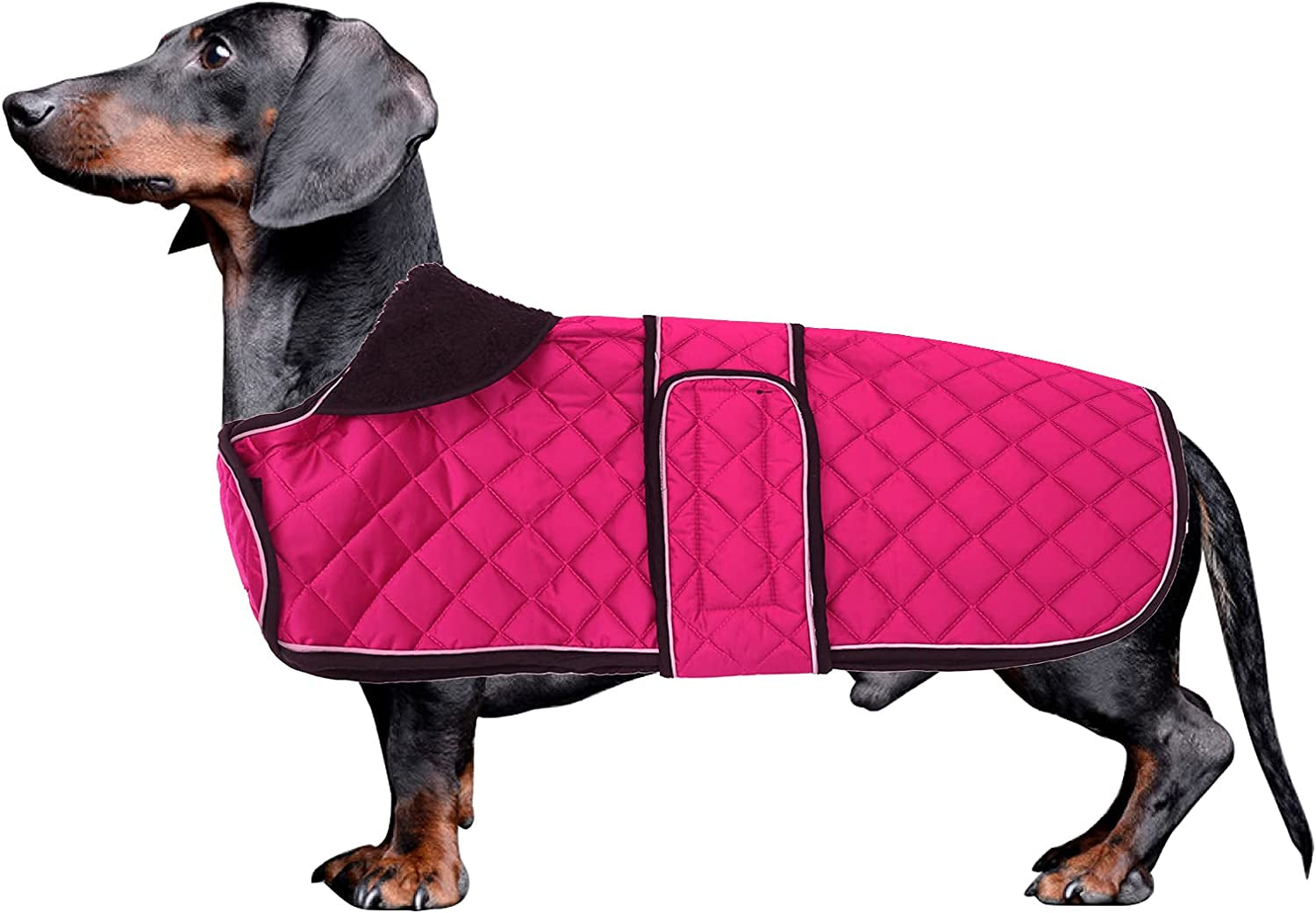 Morezi Dachshund Coats, Dachshund Coat, Coat for Dachshund, Dog Winter Coat with Padded Fleece Lining, Outdoor Dog Apparel with Adjustable Bands - Navy - L Animals & Pet Supplies > Pet Supplies > Dog Supplies > Dog Apparel Morezi Pink Small(Back: 13"-15"in) 