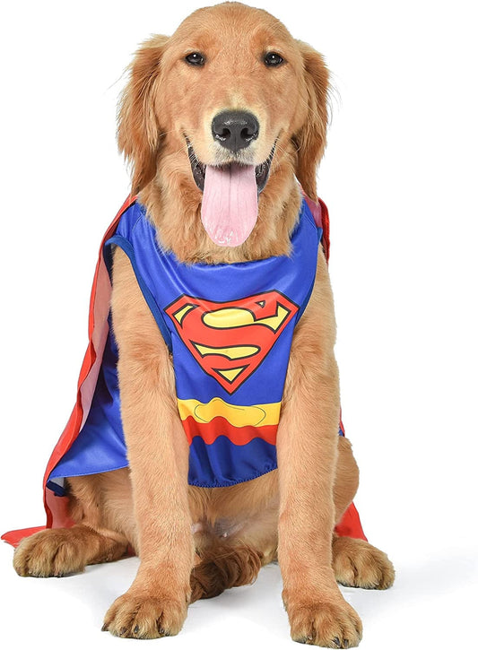 DC Superhero Superman Halloween Dog Costume - Small - | DC Superhero Halloween Costumes for Dogs, Funny Dog Costumes | Officially Licensed DC Dog Halloween Costume Animals & Pet Supplies > Pet Supplies > Dog Supplies > Dog Apparel Fetch for Pets Blue Medium 