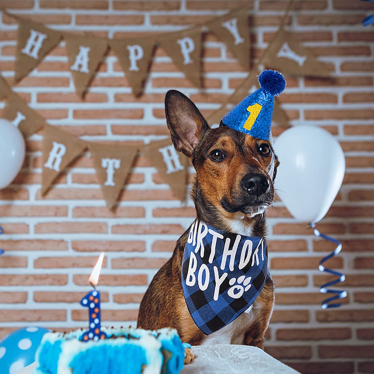 FLYSTAR Dog Birthday Bandana with Hat and Number - Plaid Cute Doggy Bandana for Small Medium Large Dogs Boy- Blue Triangle Scarf Bibis Party Dog Outfits Animals & Pet Supplies > Pet Supplies > Dog Supplies > Dog Apparel FLYSTAR   