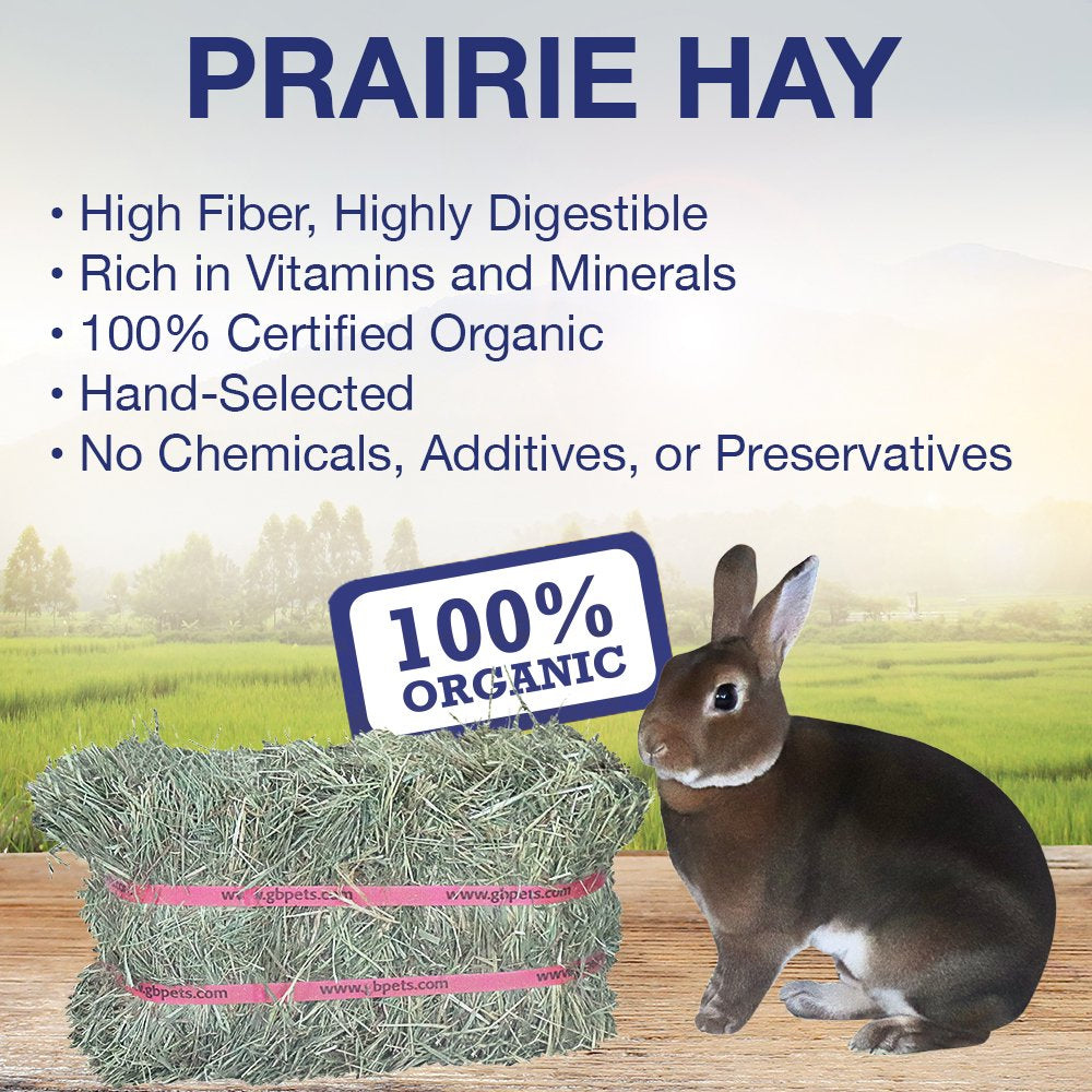 Grandpa'S Best Certified Organic Prairie Grass Hay Mini Bale for Small Animals - 40Oz Animals & Pet Supplies > Pet Supplies > Small Animal Supplies > Small Animal Food Grandpa's Best LLC   