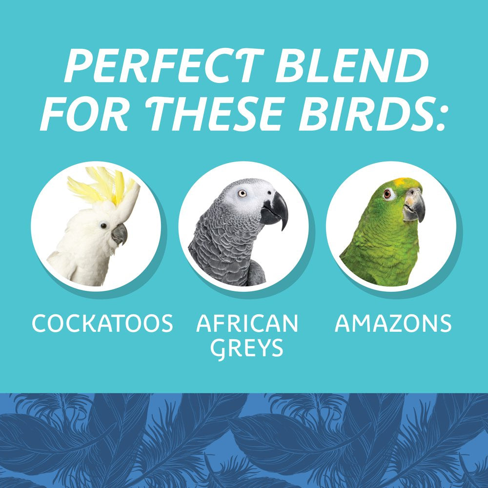 Pennington Large Bird Blend Bird Food for Cockatoos; 3 Lb. Bag Animals & Pet Supplies > Pet Supplies > Bird Supplies > Bird Food D & D Commodities   