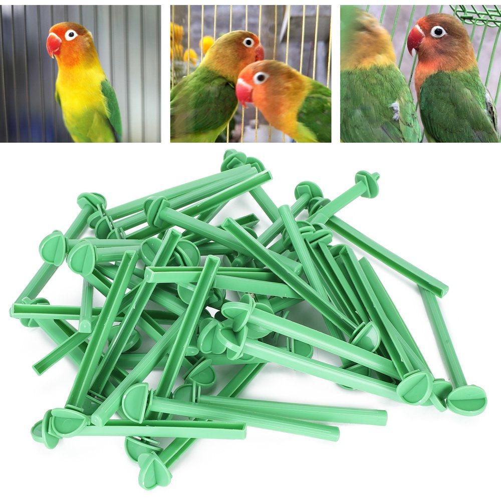 DOACT 50Pcs Bird Standing Stick Parrots Cage Standing Bar Plastic Parakeet Standing Various Birds to Stand for Small Parakeets Cockatiels Conures Animals & Pet Supplies > Pet Supplies > Bird Supplies > Bird Cages & Stands Doact   