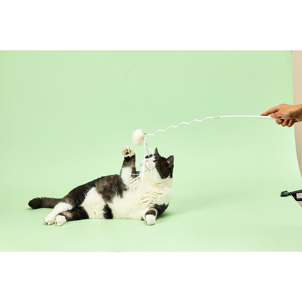 Instachew Cat Bingo Stick Toy, White Animals & Pet Supplies > Pet Supplies > Cat Supplies > Cat Toys INSTACHEW   