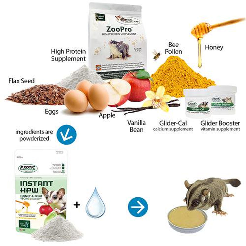 Exotic Nutrition Starter Package for Sugar Gliders Animals & Pet Supplies > Pet Supplies > Small Animal Supplies > Small Animal Food Exotic Nutrition   