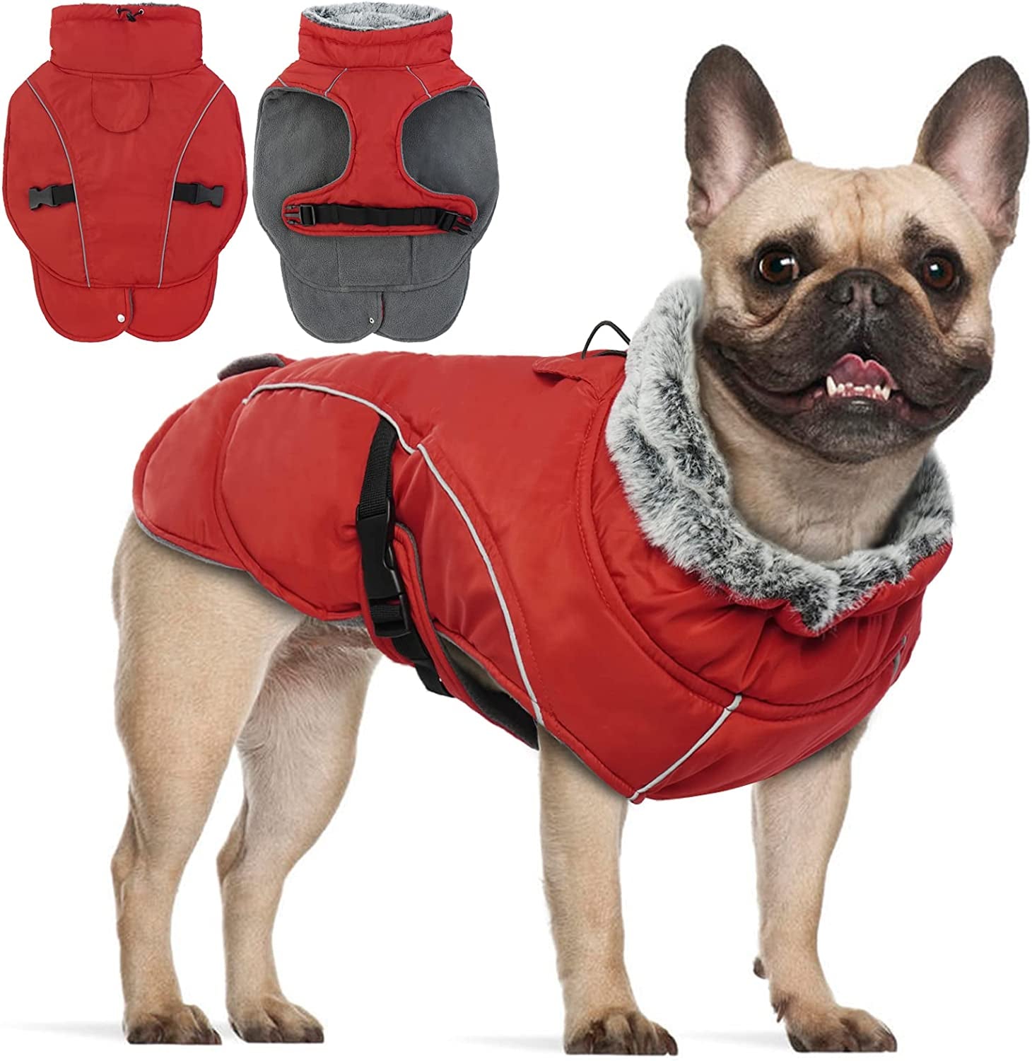 FUAMEY Dog Cold Weather Jacket,Dog Winter Coat with Fur Collar Pet Windproof Warm Vest Doggie Reflective Apparel Small Medium Large Paded Dog Clothes with Leash Hole Thick Dog Fleece Outdoor Coats Animals & Pet Supplies > Pet Supplies > Dog Supplies > Dog Apparel FUAMEY red Medium(chest:17-21in) 