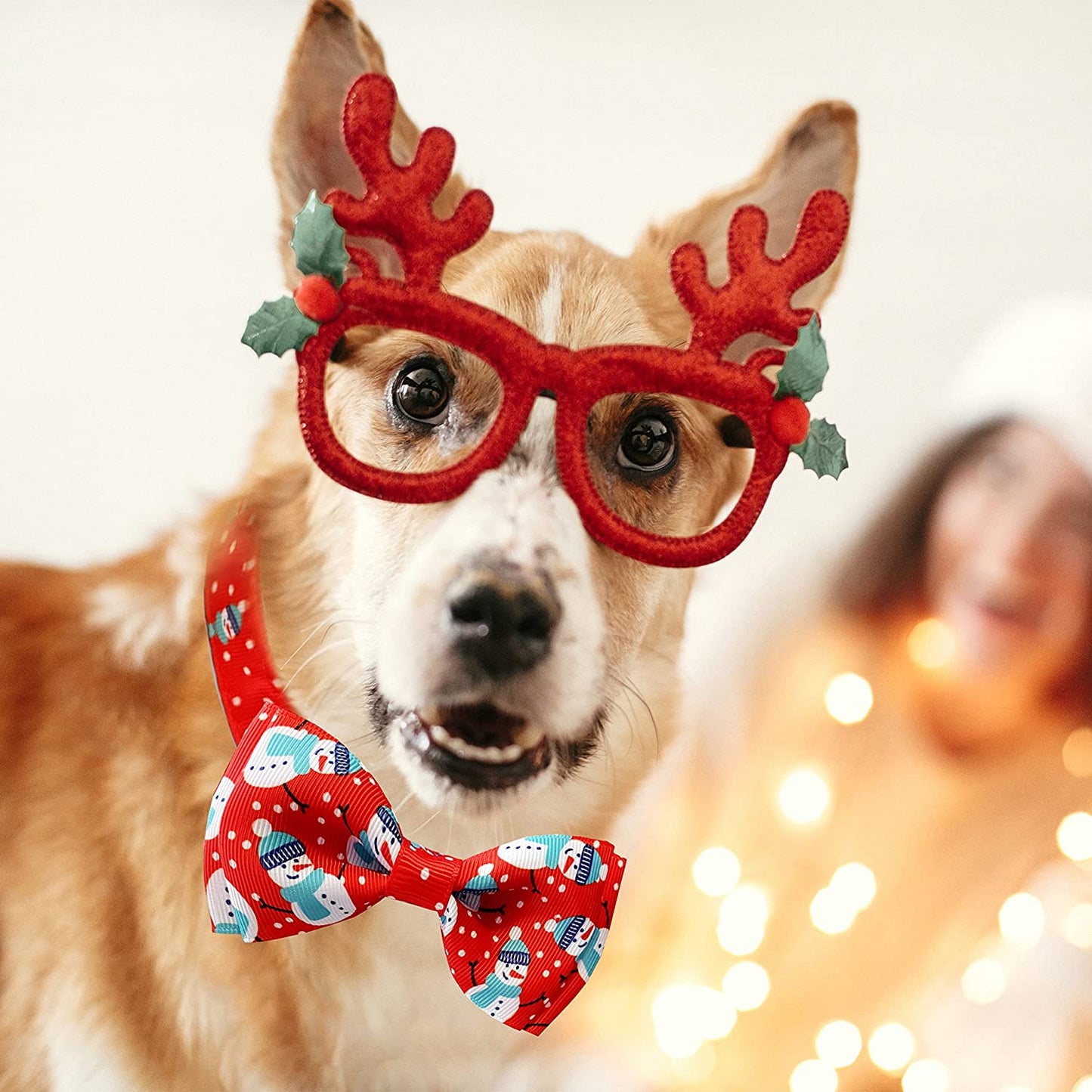 Christmas Dog Collar with Bow Tie, 2 Pack Holiday Santa and Snowman Collar for Small Medium Large Dogs Pets Puppies (Small-(11"-17") Neck * 5/8" Wide) Animals & Pet Supplies > Pet Supplies > Dog Supplies > Dog Apparel Pohshido   