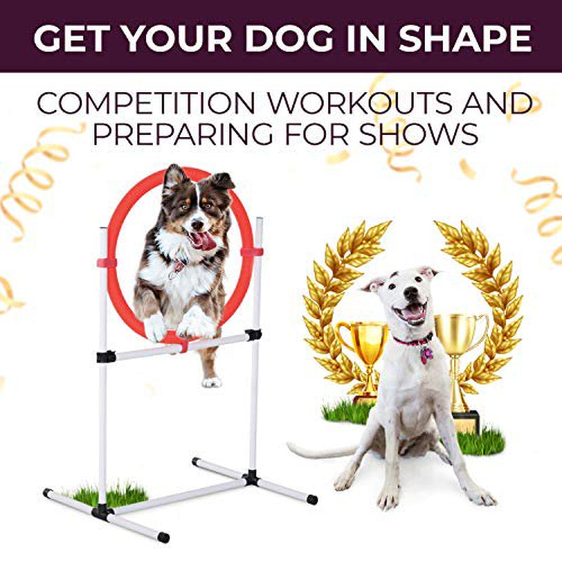 Dog Agility Training Equipment, Complete Set, Dog Tunnel, Jump, Hurdle, Hoop, Weave Poles Dog Obstacle Course, Backyard, Indoor, Outdoor Animals & Pet Supplies > Pet Supplies > Dog Supplies > Dog Treadmills Cheering Pet   