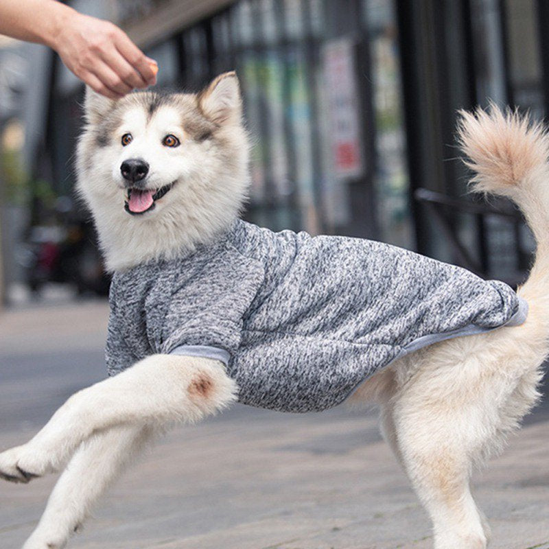 Cute Warm Dog Clothes, Classic Pet Swearshirt for Dogs Girls Boys, Four Legged Short Sleeves round Neck Dog Shirts Sweater Coat Pullover Apparel Outfit for All Season, Suitable for Large Dogs, 3XL-9XL Animals & Pet Supplies > Pet Supplies > Dog Supplies > Dog Apparel Zupora 4XL Gray 