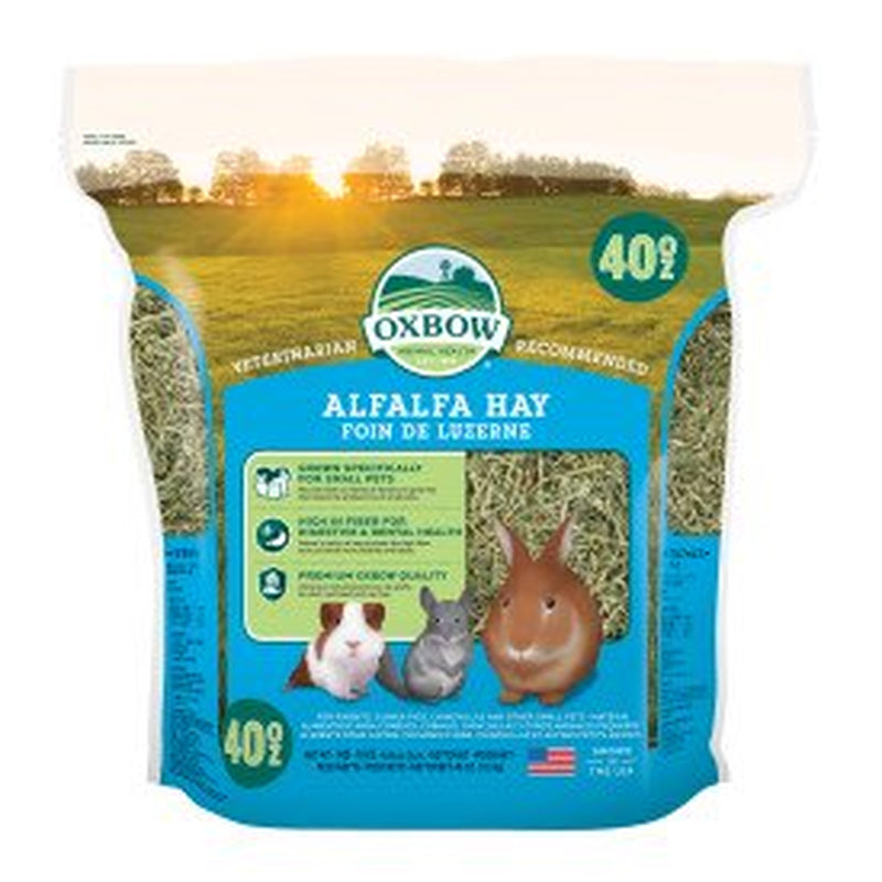 Oxbow Premium Alfalfa Hay Small Animal Food for Rabbits & Small Animals- 40 Oz Animals & Pet Supplies > Pet Supplies > Small Animal Supplies > Small Animal Food Oxbow Animal Health   