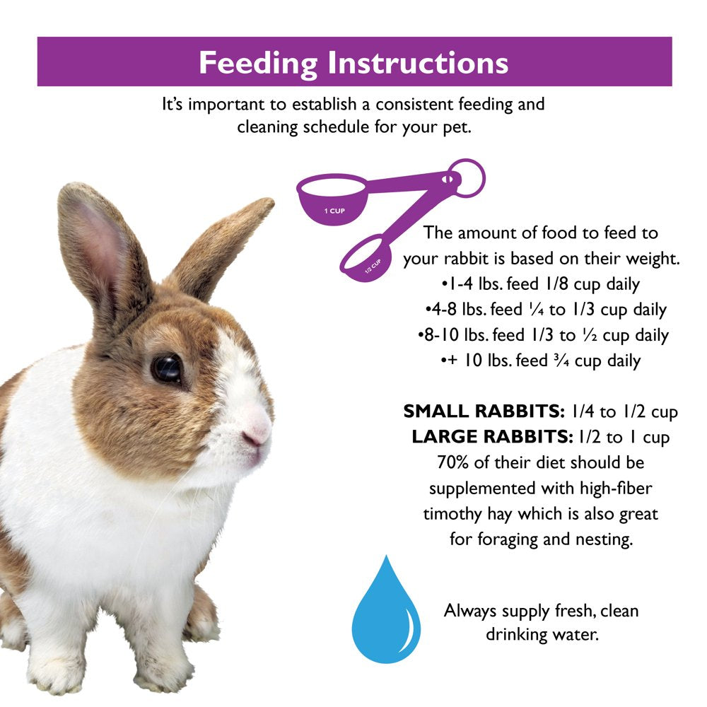 Encore Gourmet Foraging Feast Pet Rabbit Food, 4 Lb. Animals & Pet Supplies > Pet Supplies > Small Animal Supplies > Small Animal Food F.M. Brown's Sons, Inc.   