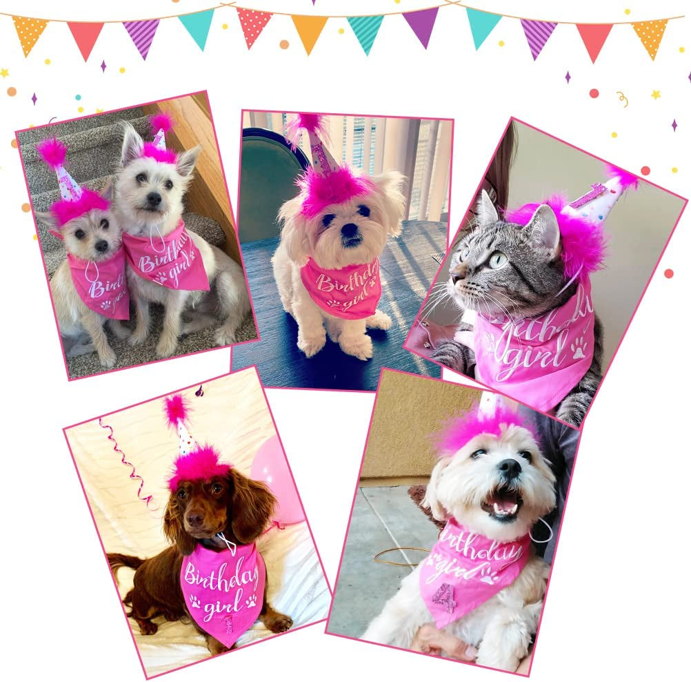 BINGPET Dog Birthday Bandana Girl Scarf and Reusable Dog Birthday Hat with 0-8 Figures Animals & Pet Supplies > Pet Supplies > Dog Supplies > Dog Apparel BINGPET   