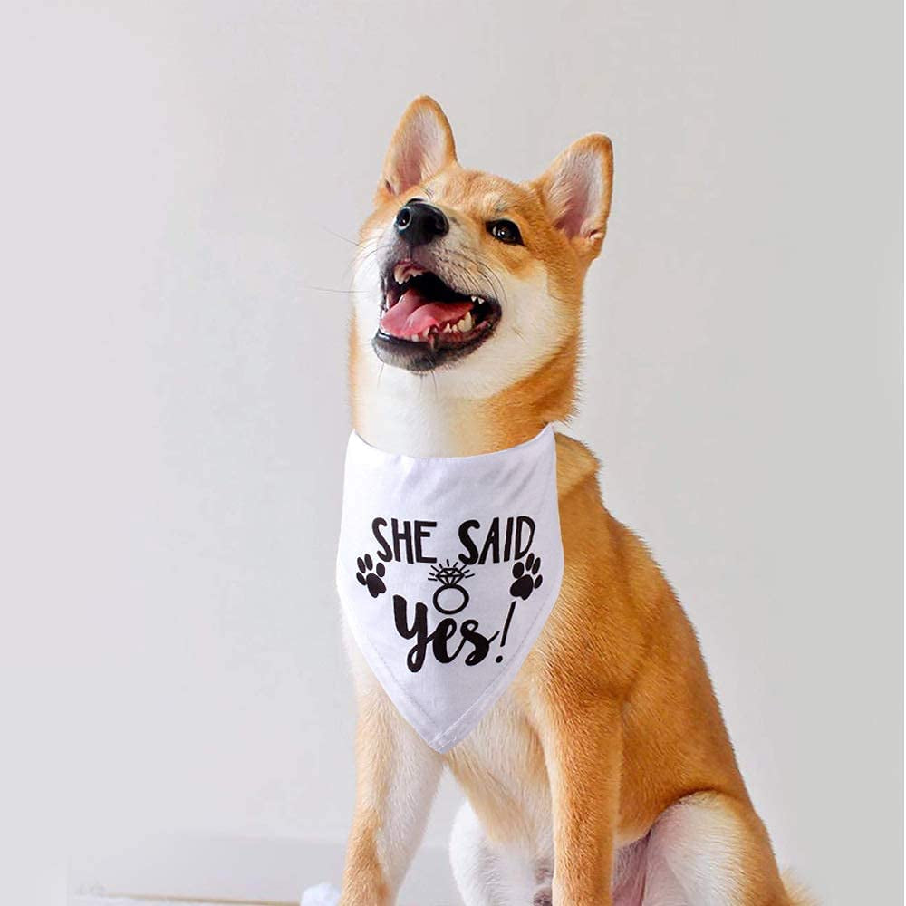 HDGDT She Said Yes Dog Bandana, Wedding Dog Bandana, Dog Engagement Announcement, Wedding Photo Prop, Pet Scarf, Petphoto Prop, Pet Scarf, Pet Accessories Animals & Pet Supplies > Pet Supplies > Dog Supplies > Dog Apparel MY   