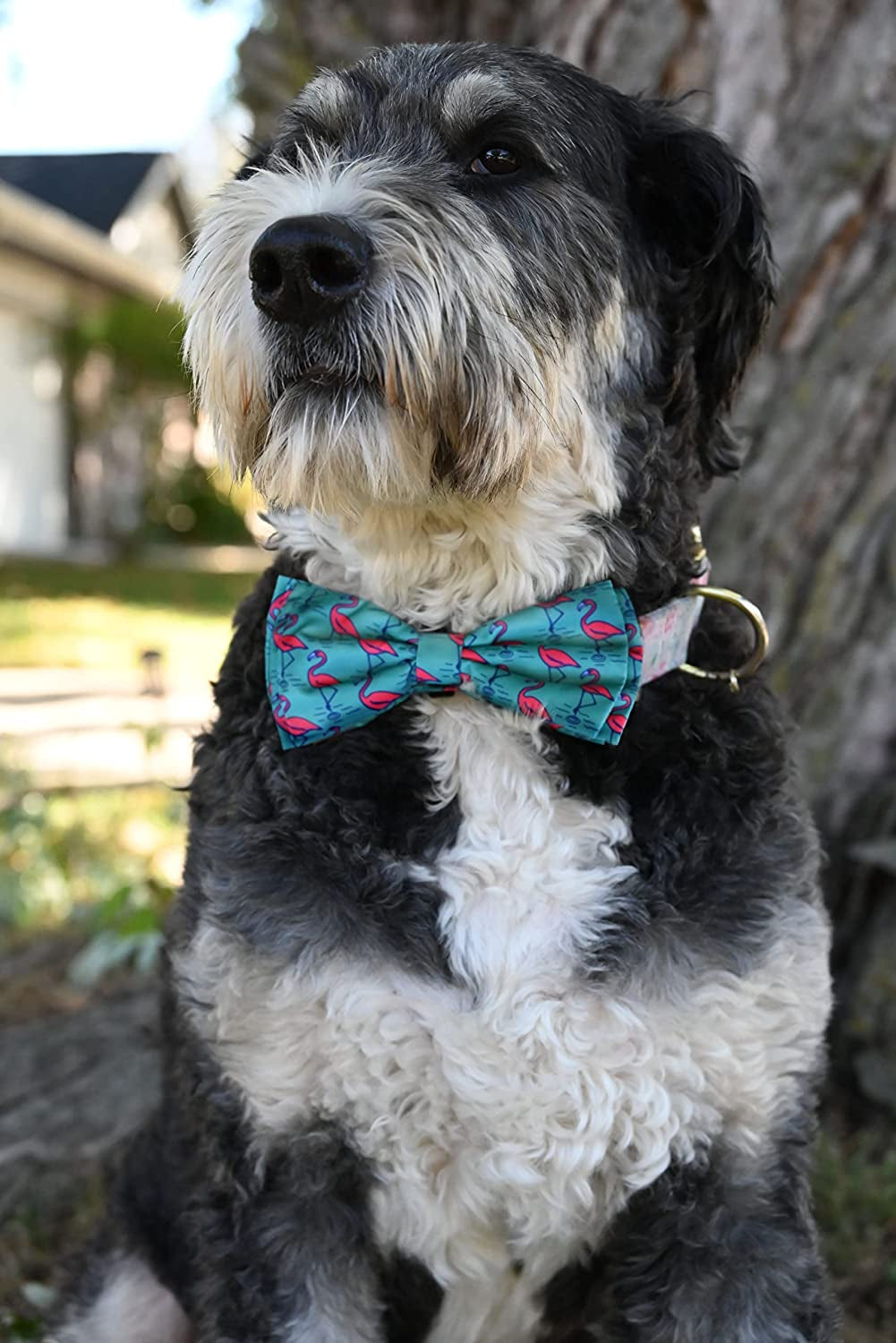 H&K Bow Tie for Pets | Flamingo (Extra-Large) | Velcro Bow Tie Collar Attachment | Fun Bow Ties for Dogs & Cats | Cute, Comfortable, and Durable | Huxley & Kent Bow Tie Animals & Pet Supplies > Pet Supplies > Dog Supplies > Dog Apparel Huxley & Kent   