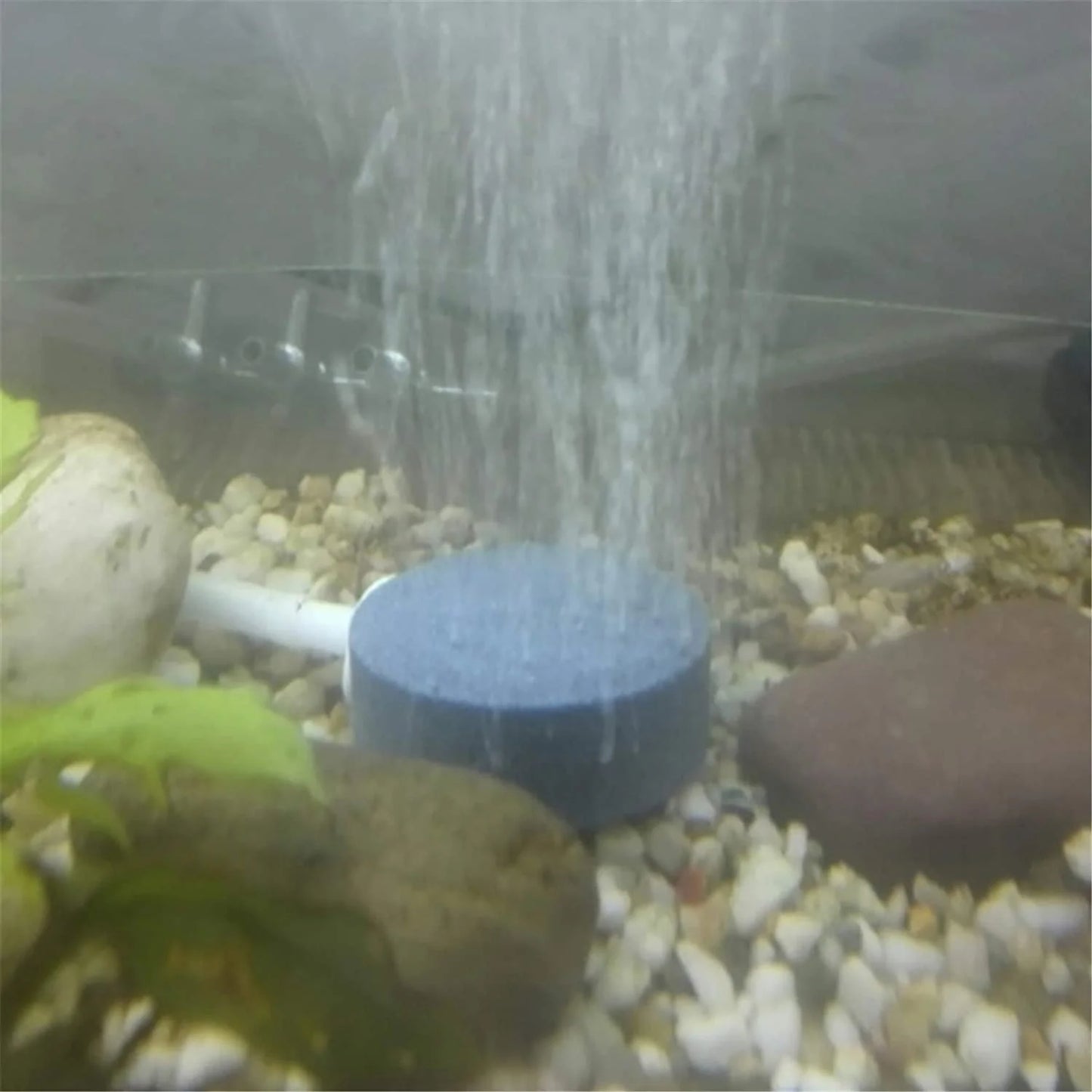 Dearanswer round Air Stones Oxygen Bubble Diffuser Airstones for Aquarium Fish Tank Animals & Pet Supplies > Pet Supplies > Fish Supplies > Aquarium Air Stones & Diffusers Dearanswer   