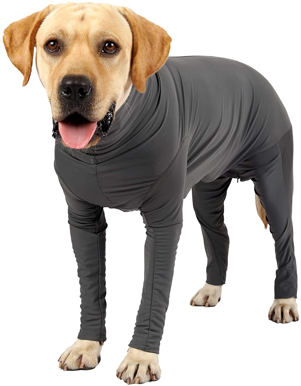 Etdane Dog Onesie for after Surgery Pet Surgical Recovery Suit anti Sh –  KOL PET