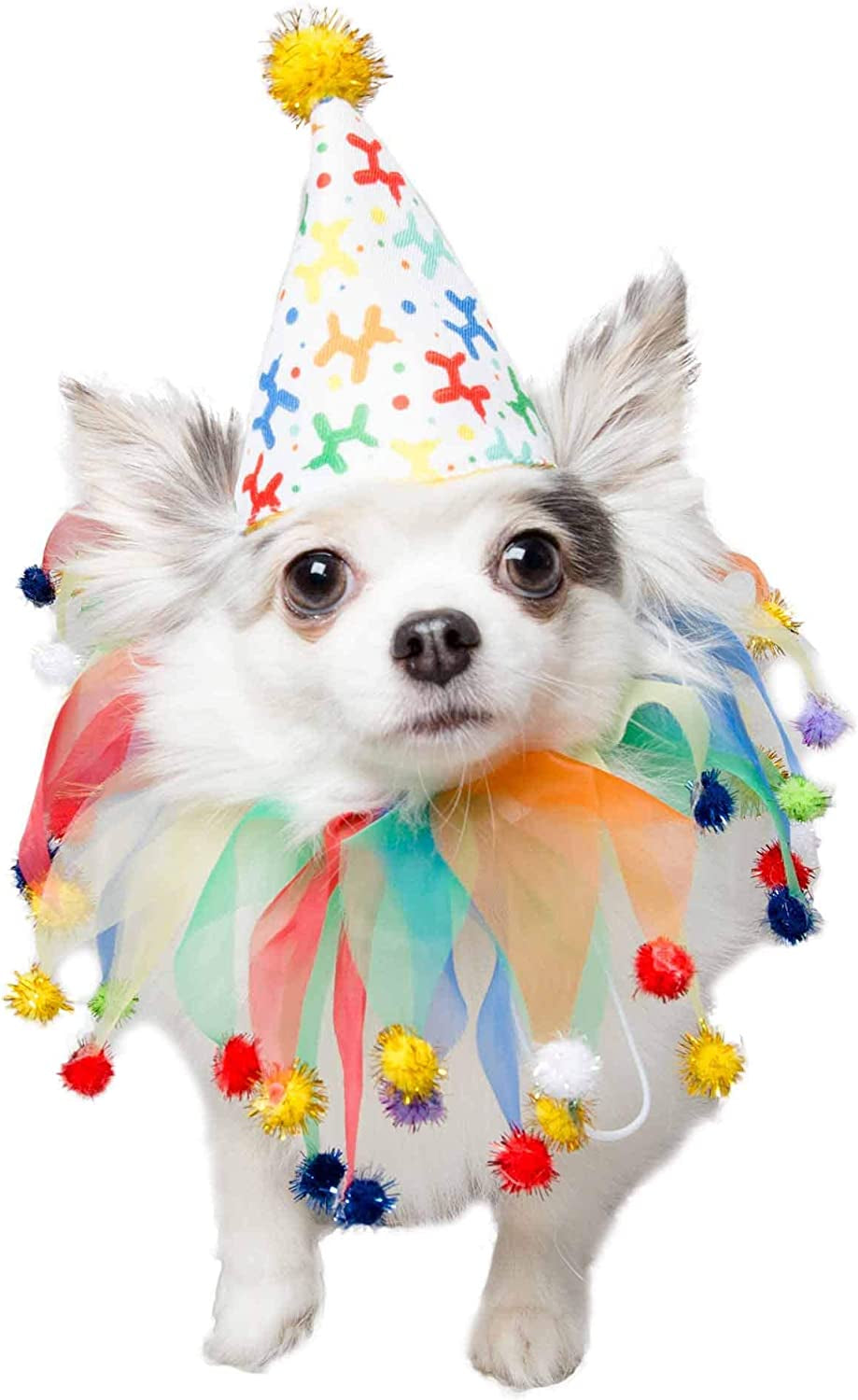 Pet Krewe Dog Clown Costume Happy Birthday Hat Collar Outfit