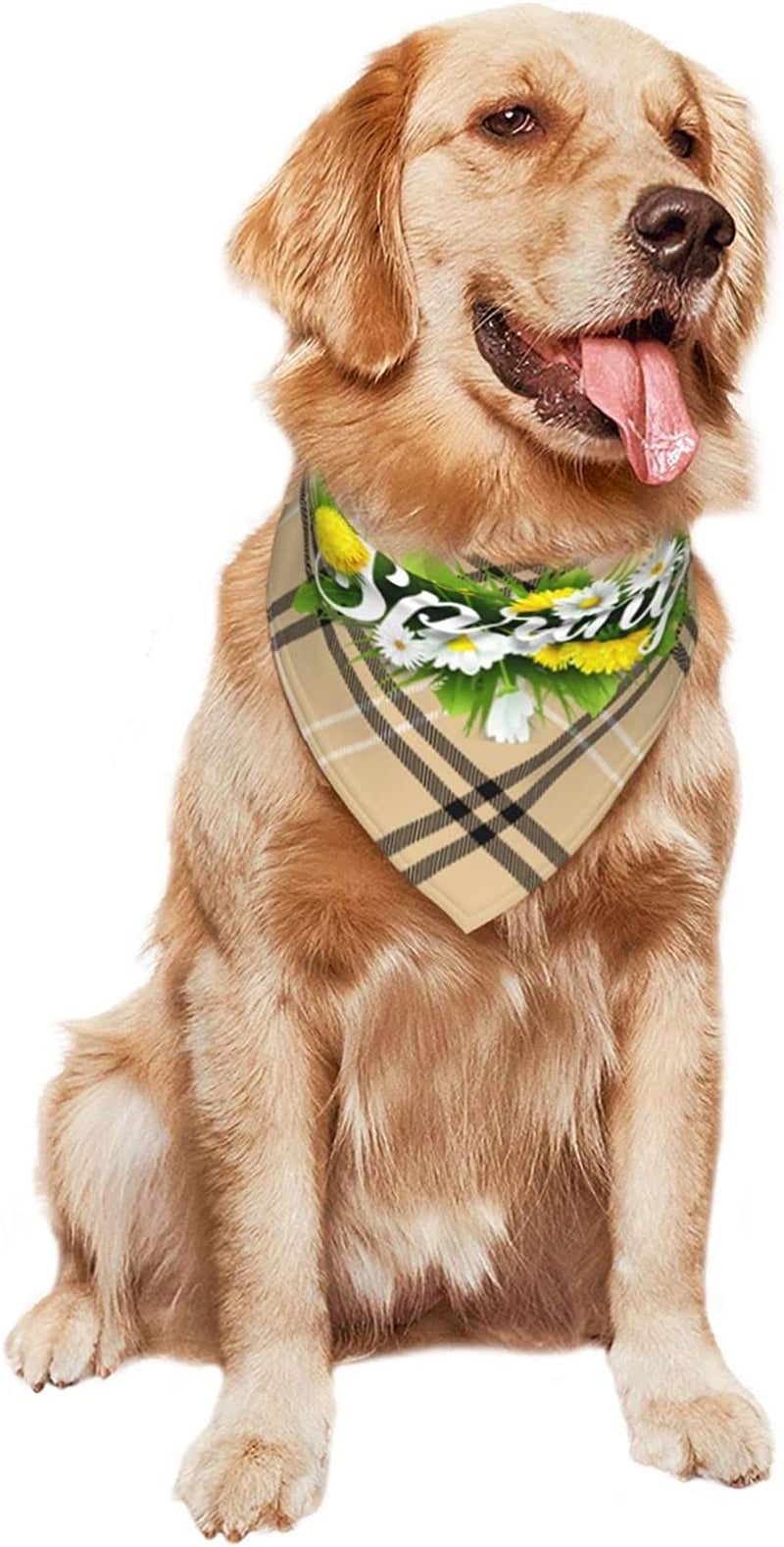 Hello Spring Floral Season Border Pet Dog and Cat Decorative Triangle Scarf,Dog Bandana,Breathable and Stain Resistant. Animals & Pet Supplies > Pet Supplies > Dog Supplies > Dog Apparel ZALTAS   