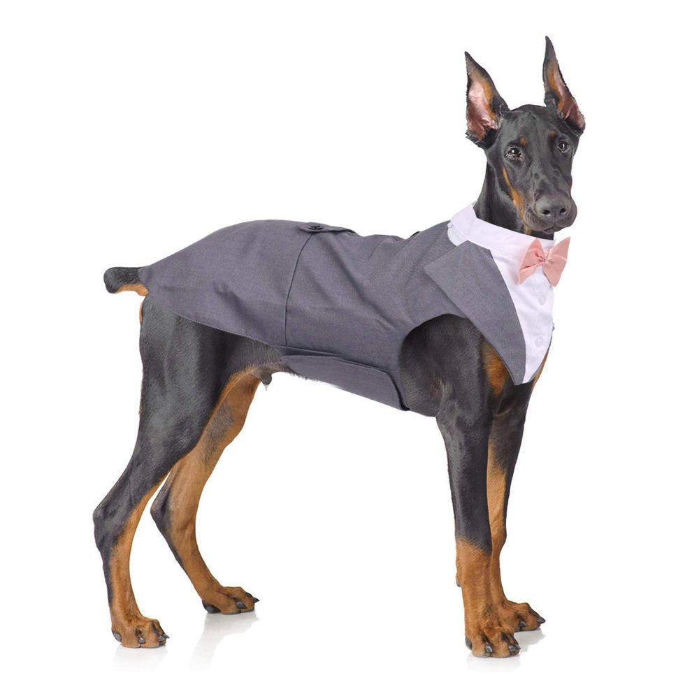 QBLEEV Dog Formal Tuxedo Suit for Medium Large Dogs，For Costume Wedding Party Outfit with Detachable Collar，Elegant Dog Apparel Bowtie Shirt and Bandana Set for Dress-Up Cosplay Holiday Wear Animals & Pet Supplies > Pet Supplies > Dog Supplies > Dog Apparel QBLEEV XL Gray 