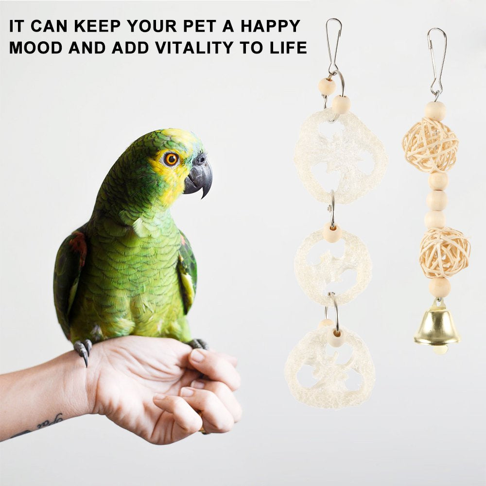 HOTBEST 8PCS Small Bird Swing Toys, 8 PCS Parrots Chewing Natural Wood and Rope Bungee Bird Toy for Anchoies, Parakeets, Cockatiel, Conure, Mynah, Macow and Other Small Birds Animals & Pet Supplies > Pet Supplies > Bird Supplies > Bird Toys HOTBEST   