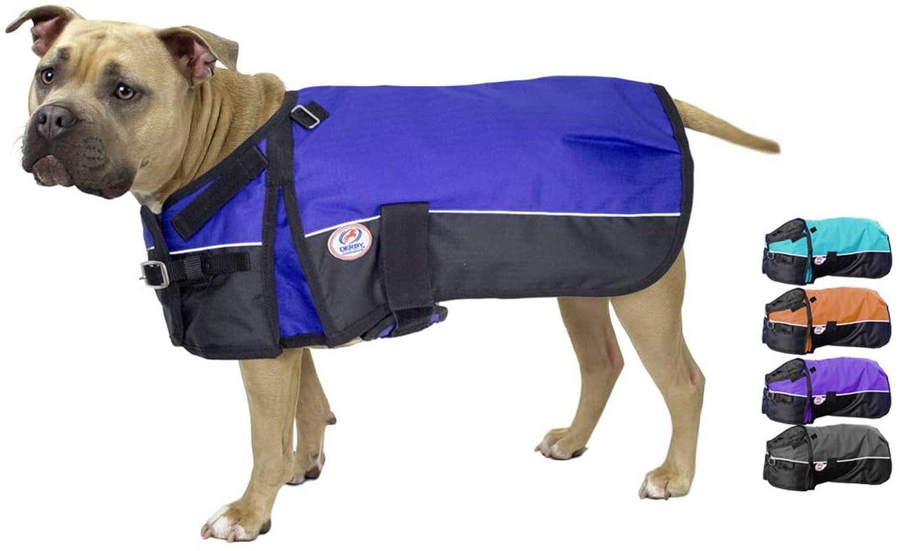 Derby Originals Horse Tough 600D Ripstop Waterproof Reflective Winter Dog Coat 150G Medium Weight, Black, 28.5" Animals & Pet Supplies > Pet Supplies > Dog Supplies > Dog Apparel Derby Originals Royal Blue Medium (Length: 17.5 in) 