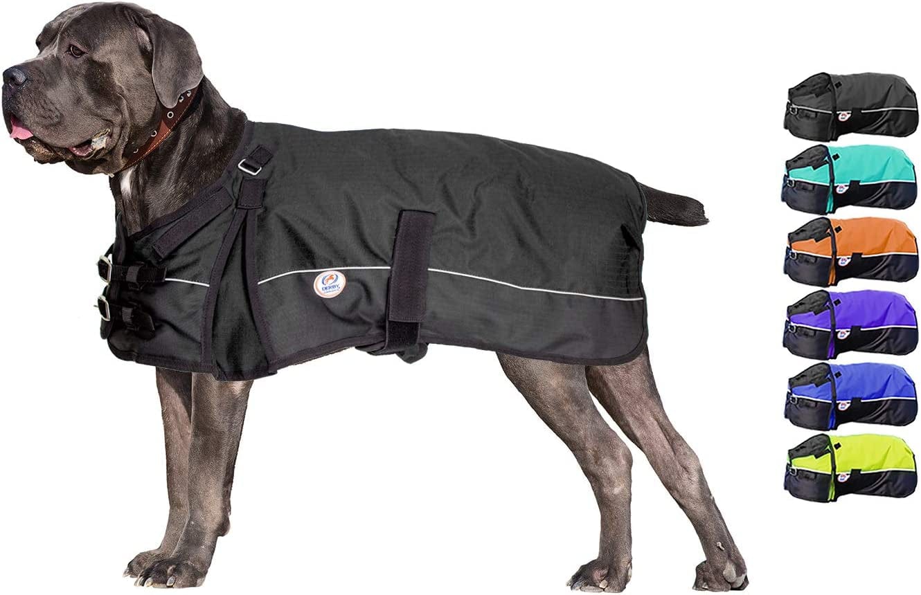 Derby Originals Horse Tough 600D Ripstop Waterproof Reflective Winter Dog Coat 150G Medium Weight, Black, 28.5" Animals & Pet Supplies > Pet Supplies > Dog Supplies > Dog Apparel Derby Originals Black 26.5" 