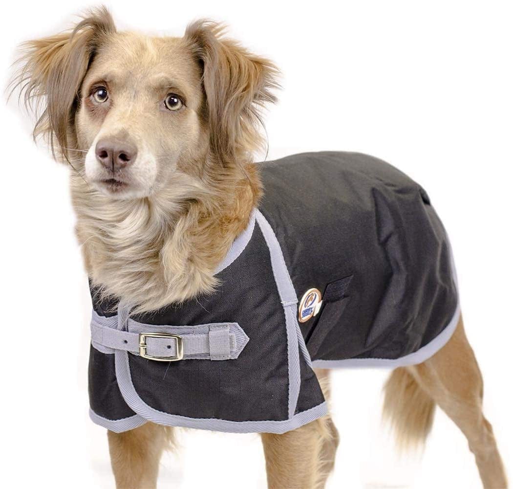 Derby Originals Horse Tough 600D Ripstop Waterproof Winter Dog Coat 150G Medium Weight Animals & Pet Supplies > Pet Supplies > Dog Supplies > Dog Apparel Derby Originals Black 26.5 in 