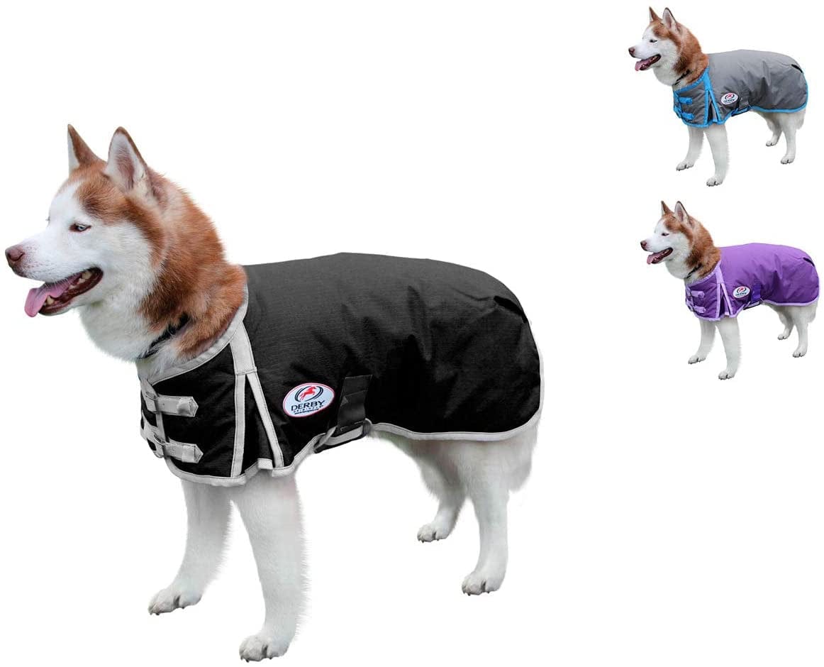 Derby Originals Horse Tough 600D Ripstop Waterproof Winter Dog Coat 150G Medium Weight Animals & Pet Supplies > Pet Supplies > Dog Supplies > Dog Apparel Derby Originals   