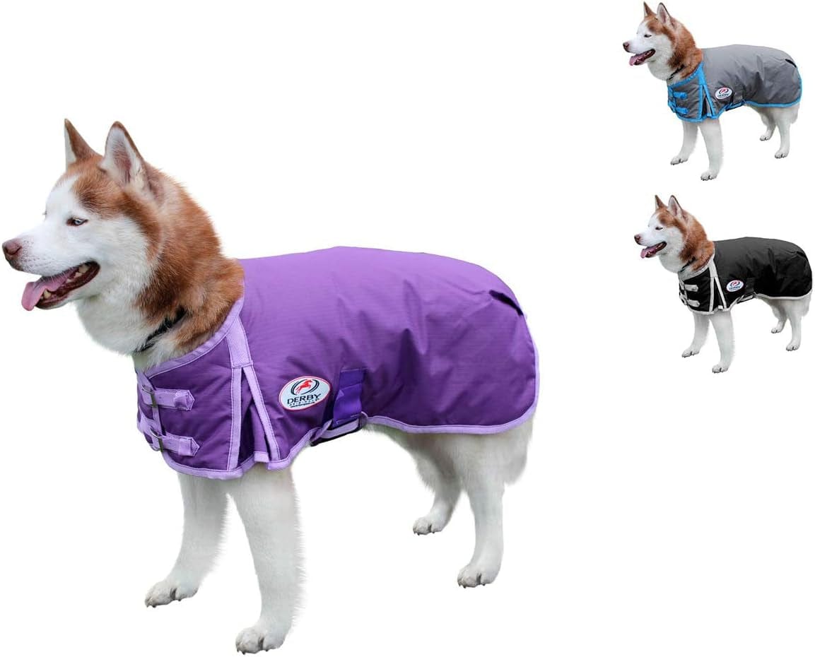 Derby Originals Horse Tough 600D Ripstop Waterproof Winter Dog Coat 150G Medium Weight Animals & Pet Supplies > Pet Supplies > Dog Supplies > Dog Apparel Derby Originals Purple 13.5 in 