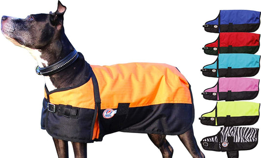 Derby Originals Horse Tough 600D Ripstop Waterproof Winter Dog Coat 150G Medium Weight Animals & Pet Supplies > Pet Supplies > Dog Supplies > Dog Apparel Derby Originals Orange 22 in 