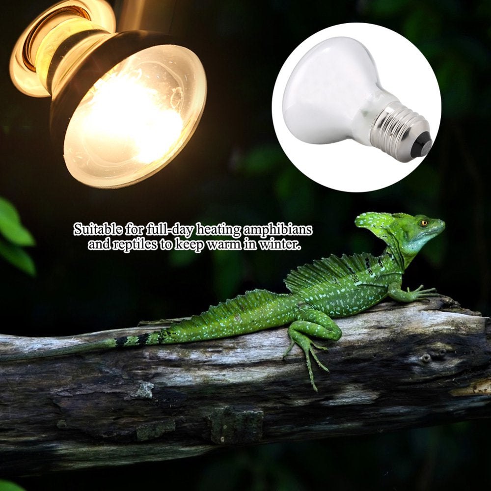 Heating 220-230V Night Heat Light Lamp Bulb for Bird Snake Reptile Pet Amphibian (75W)  Eotvia   