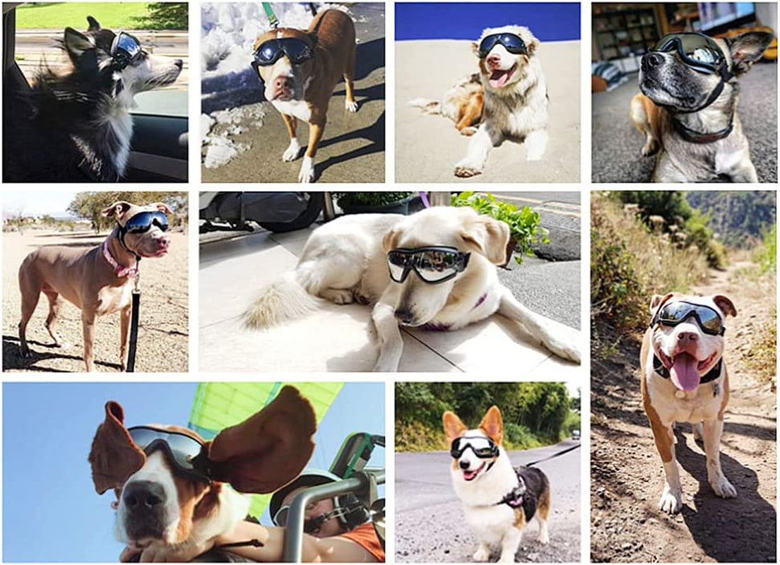 Gesuche Dog Sunglasses Dog Goggles,Uv Protection Wind Protection Dust Protection Snow Protection Fog Protection Pet Glasses Eye Wear Protection with Adjustable Strap for Medium or Large Dog Animals & Pet Supplies > Pet Supplies > Dog Supplies > Dog Apparel Gesuche   