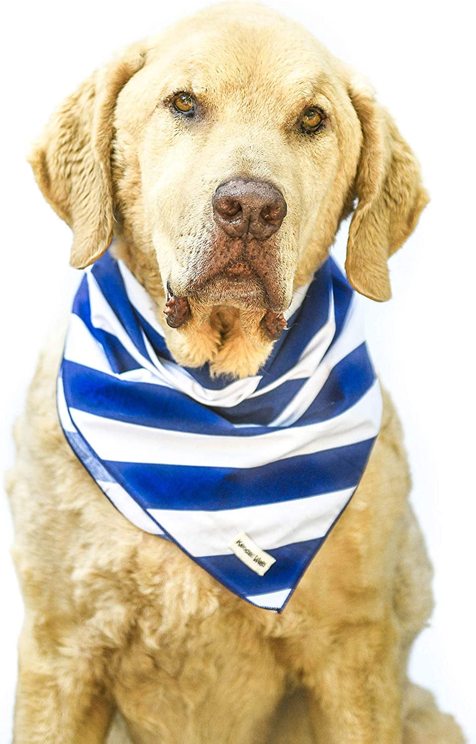 Kendall Wags Summer Nautical Dog Bandanas Pet Scarf Accessories for Large Medium Small Dogs - 4Th of July Animals & Pet Supplies > Pet Supplies > Dog Supplies > Dog Apparel Kendall Wags Blue Stripes Large 