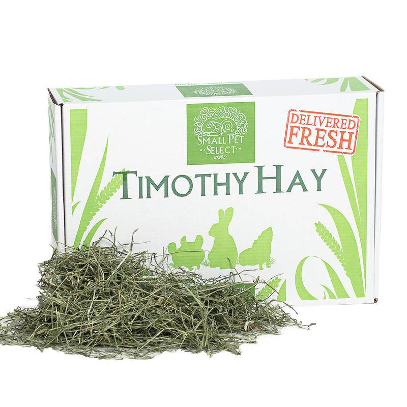 Small Pet Select 2Nd Cutting Timothy Hay Pet Food, 25-Pound Animals & Pet Supplies > Pet Supplies > Small Animal Supplies > Small Animal Food Small Pet Select 10 lbs  