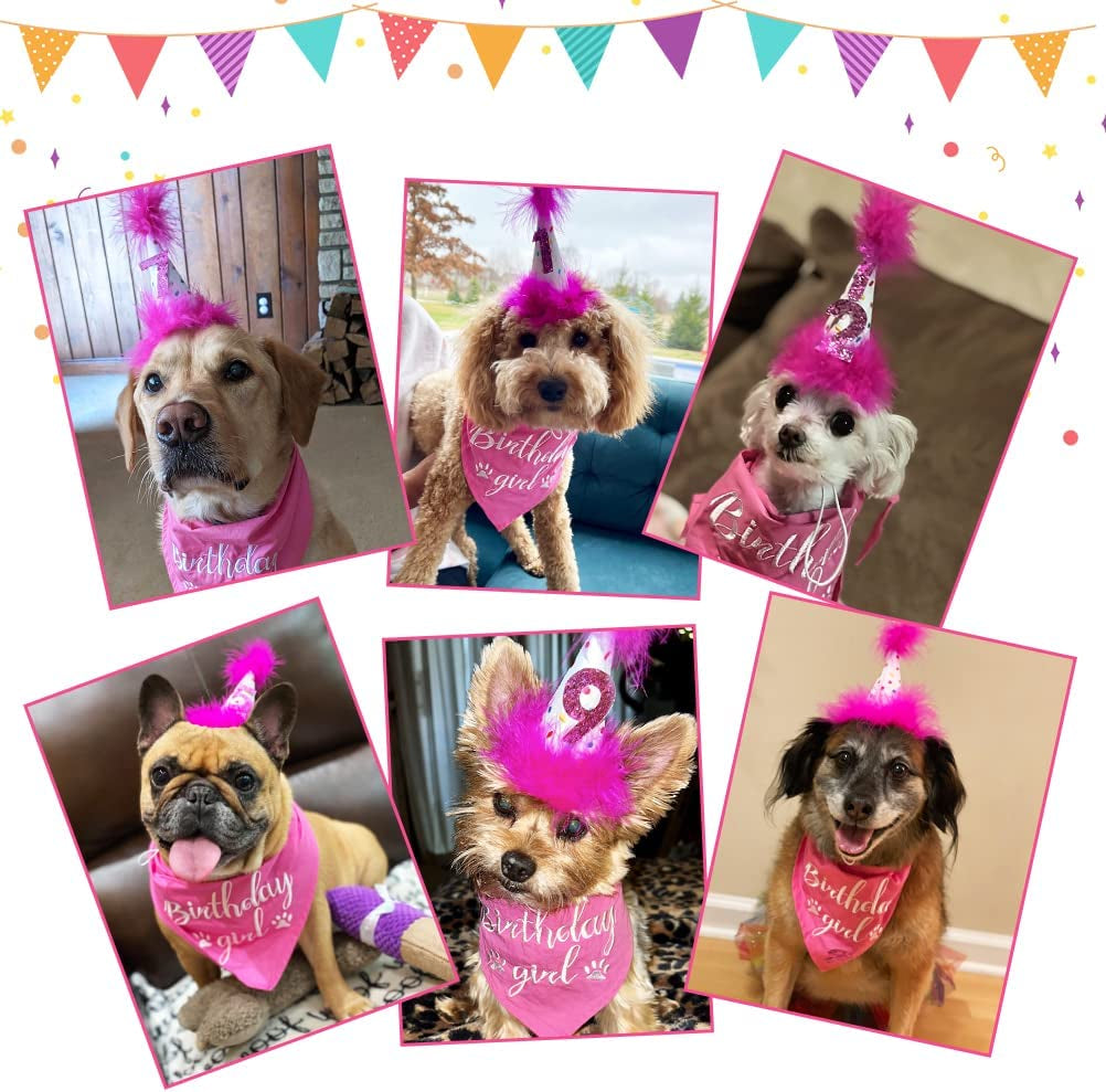 BINGPET Dog Birthday Bandana Girl Scarf and Reusable Dog Birthday Hat with 0-8 Figures Animals & Pet Supplies > Pet Supplies > Dog Supplies > Dog Apparel BINGPET   