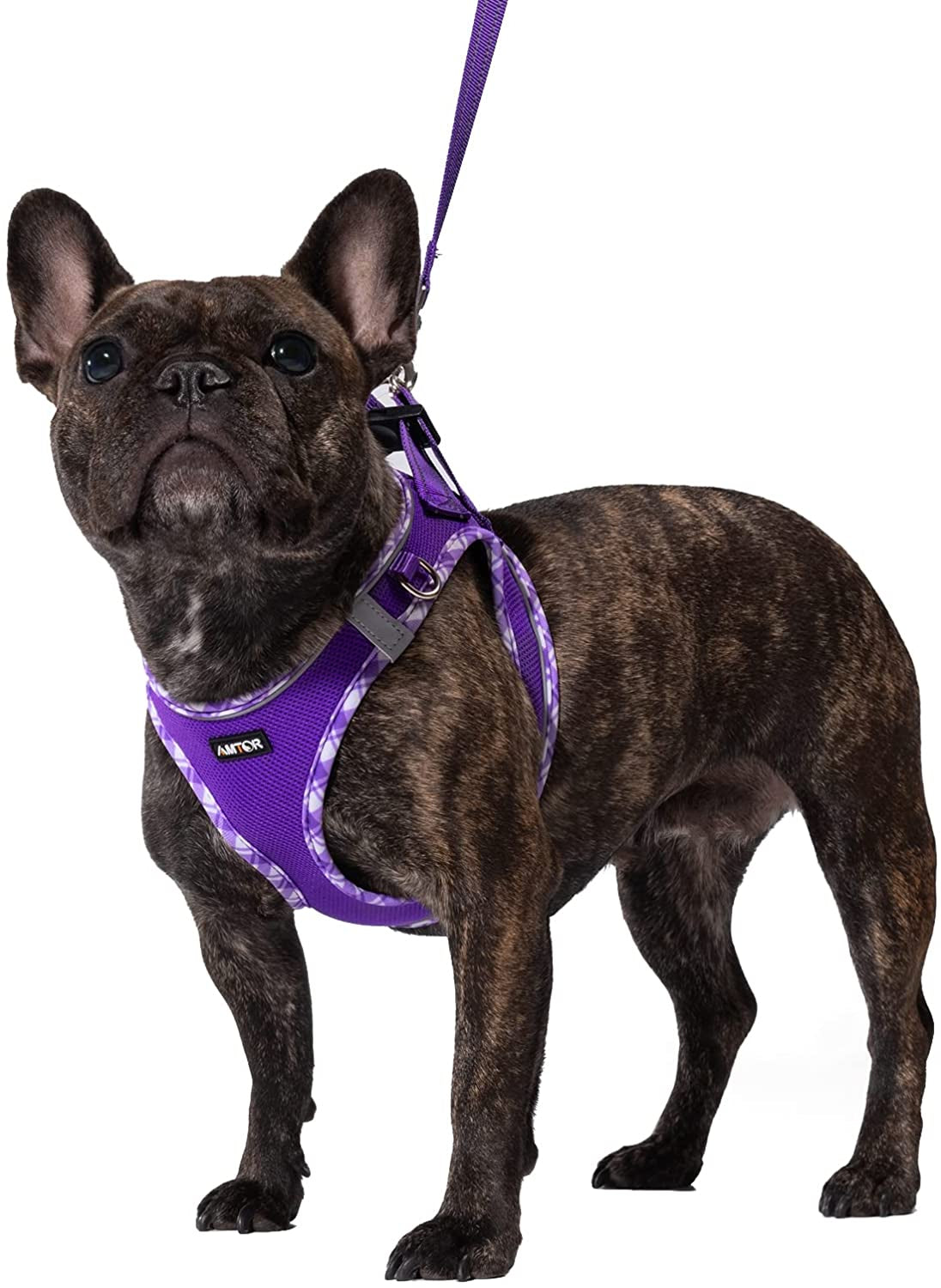 AMTOR Dog Harness with Leash Set,No Pull Adjustable Reflective Step-In Puppy Harness with Padded Vest for Extra-Small/Small Medium Large Dogs and Cats(Beige) Animals & Pet Supplies > Pet Supplies > Dog Supplies > Dog Apparel AMTOR Purple XXSmall(Chest:10.0"-11.5") 