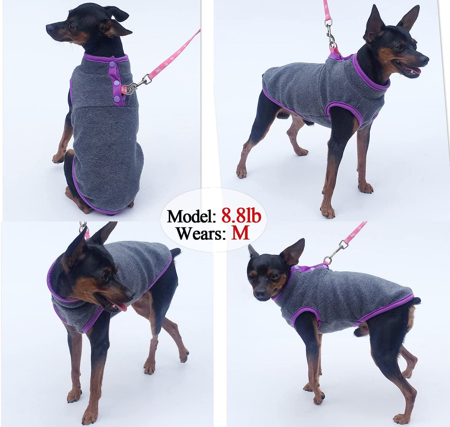 2 Pack Dog Fleece Vest Sweater, Warm Pullover Fleece Puppy Jacket, Autumn Winter Cold Weather Coat Clothes, Pet Stretch Fleece Apparel with Buttons Costumes for Small Medium Dogs Cats (Small) Animals & Pet Supplies > Pet Supplies > Dog Supplies > Dog Apparel Tealots   