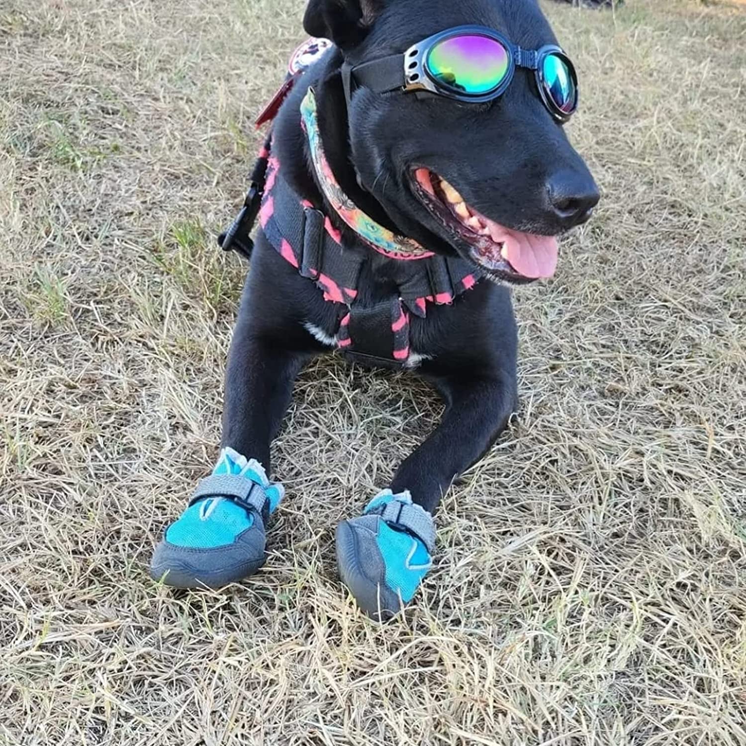 Jegtew Dog Sunglasses Dog Goggles, UV Protection Wind Protection Dust Protection Fog Protection Pet Glasses Eye Wear Protection with Adjustable Strap for Medium or Large Dog Animals & Pet Supplies > Pet Supplies > Dog Supplies > Dog Apparel Jegtew   