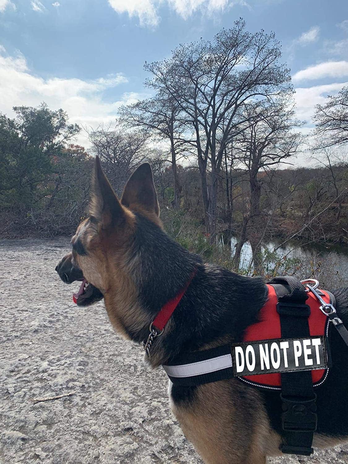 DO NOT PET Dog Vest Harness with Removable Patches and Reflective Trim. Comes with 2 DO NOT PET Reflective Removable Patches. Please Measure Dogs Girth before Purchase Animals & Pet Supplies > Pet Supplies > Dog Supplies > Dog Apparel Doggie Stylz   