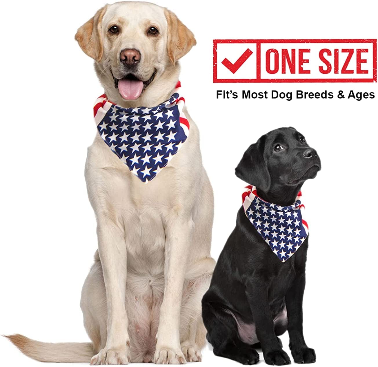 Dog fourth outlet of july clothes