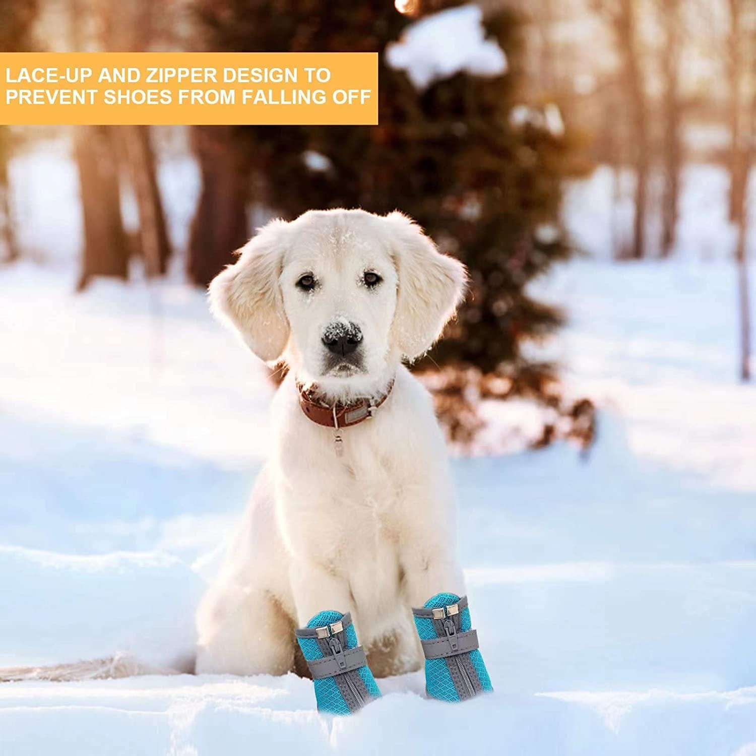 Dog Boots and Paw Protectors, Winter Dog Shoes for Hiking, Dog Warm Boots, Outdoor Indoor Dog Shoes Suitable for Small Dogs, Black, #4 (Width 1.69 Inch) for 15-21 Lbs Animals & Pet Supplies > Pet Supplies > Dog Supplies > Dog Apparel Generic   