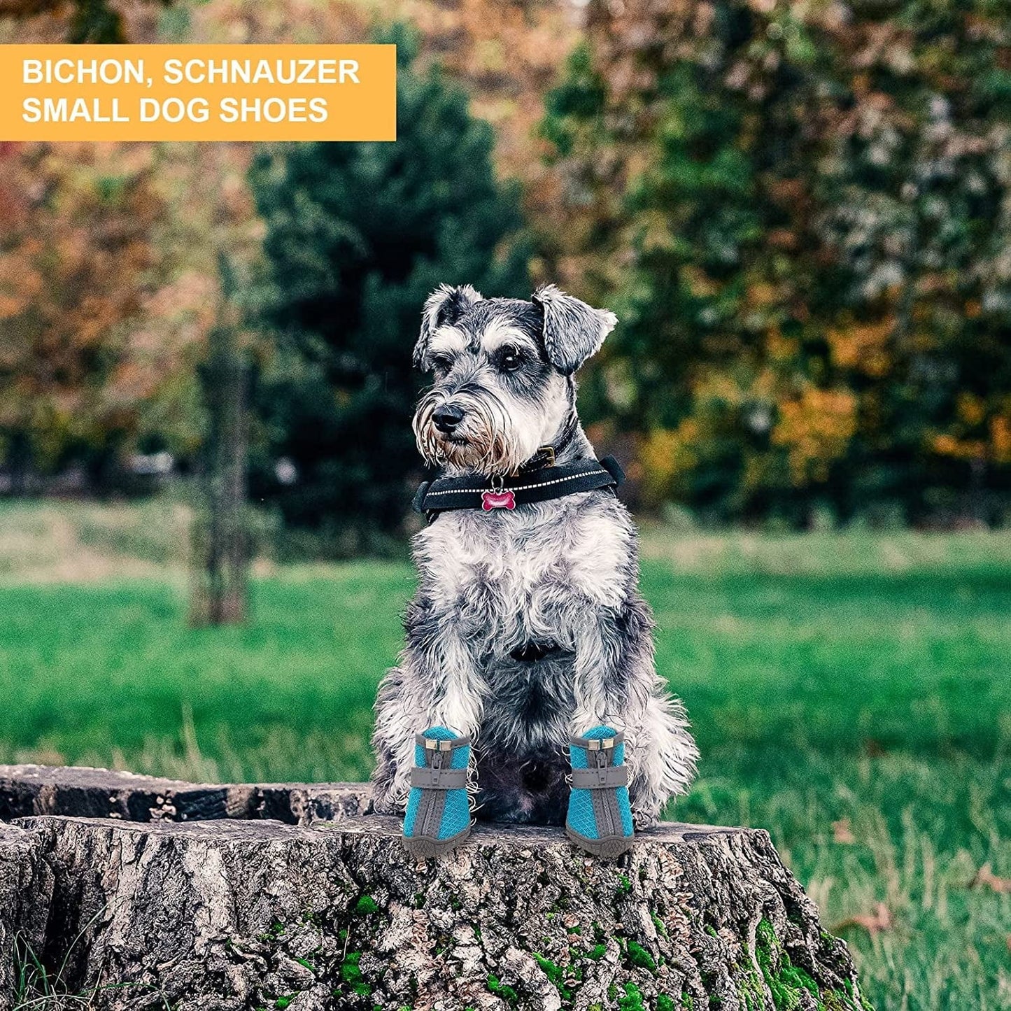 Dog Boots and Paw Protectors, Winter Dog Shoes for Hiking, Dog Warm Boots, Outdoor Indoor Dog Shoes Suitable for Small Dogs, Black, #4 (Width 1.69 Inch) for 15-21 Lbs Animals & Pet Supplies > Pet Supplies > Dog Supplies > Dog Apparel Generic   