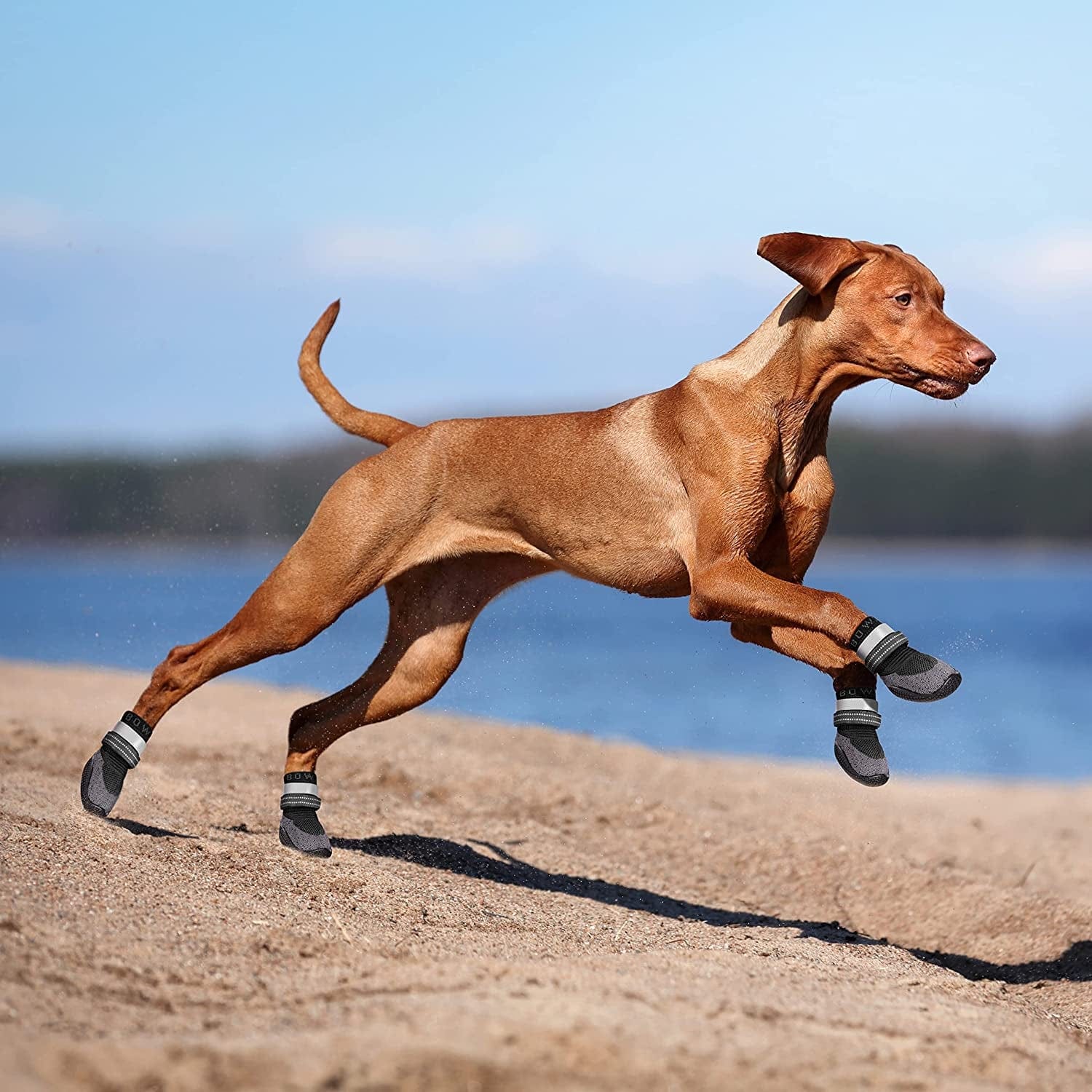 Dog Boots & Paw Protectors, Dog Shoes for Hot Pavement, Bowite Summer Winter Breathable Lightweight Fly Knit Dog Booties with Reflective Strips for Small Medium Large Dogs 4Pcs/Set（Black,#2） Animals & Pet Supplies > Pet Supplies > Dog Supplies > Dog Apparel Bowite   