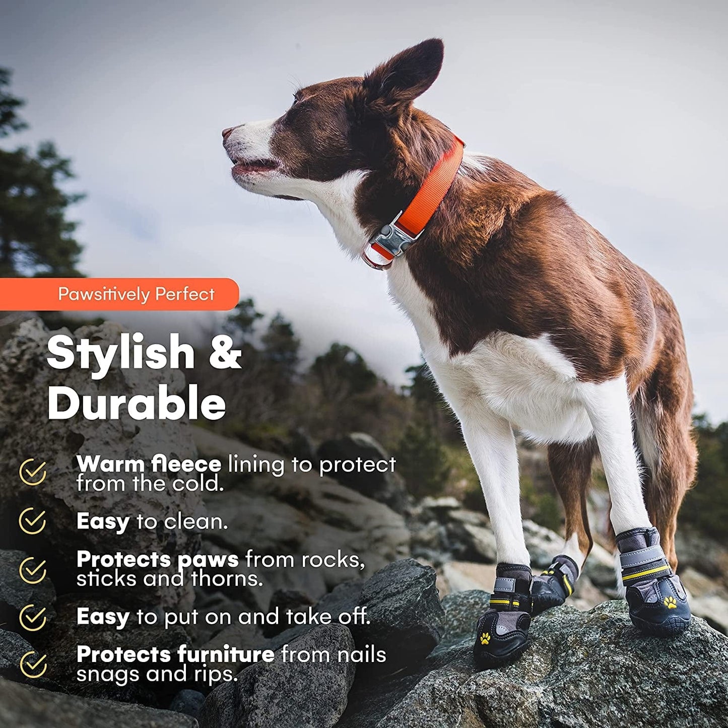 Dog Boots & Paw Protectors - Waterproof & Stain Resistant Dog Shoes for Small, Medium & Large Dogs - Easy to Get on & off - Reflective Dog Booties for Hot Pavement, Hiking, Rain & Snow - Size 7 Animals & Pet Supplies > Pet Supplies > Dog Supplies > Dog Apparel KaiPets   