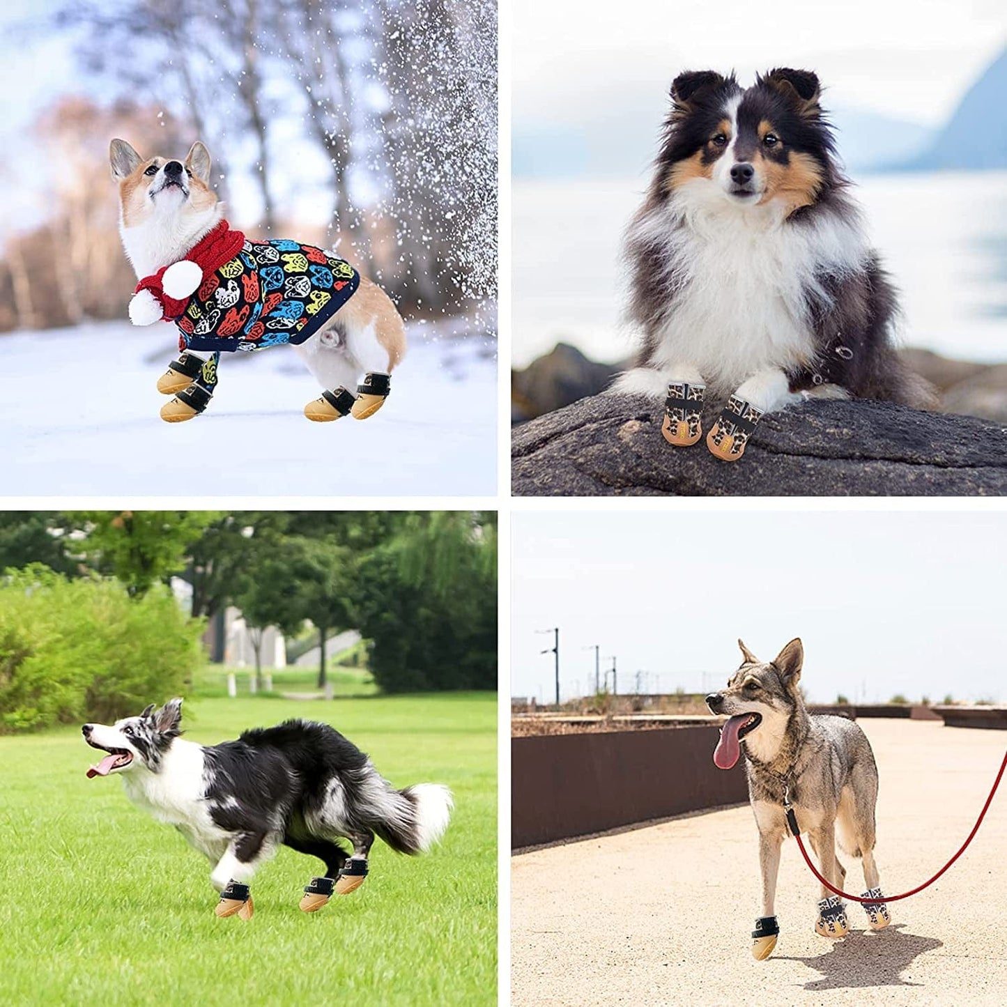 Dog Boots Waterproof Dog Shoes,Dog Shoes for Hot Pavement,Heat Protection Dog Booties Breathable Nonslip with Adjustable and Reflective Straps,Dog Paw Protection for Small, Medium, Large Dogs 4Pcs/Set Animals & Pet Supplies > Pet Supplies > Dog Supplies > Dog Apparel chella   