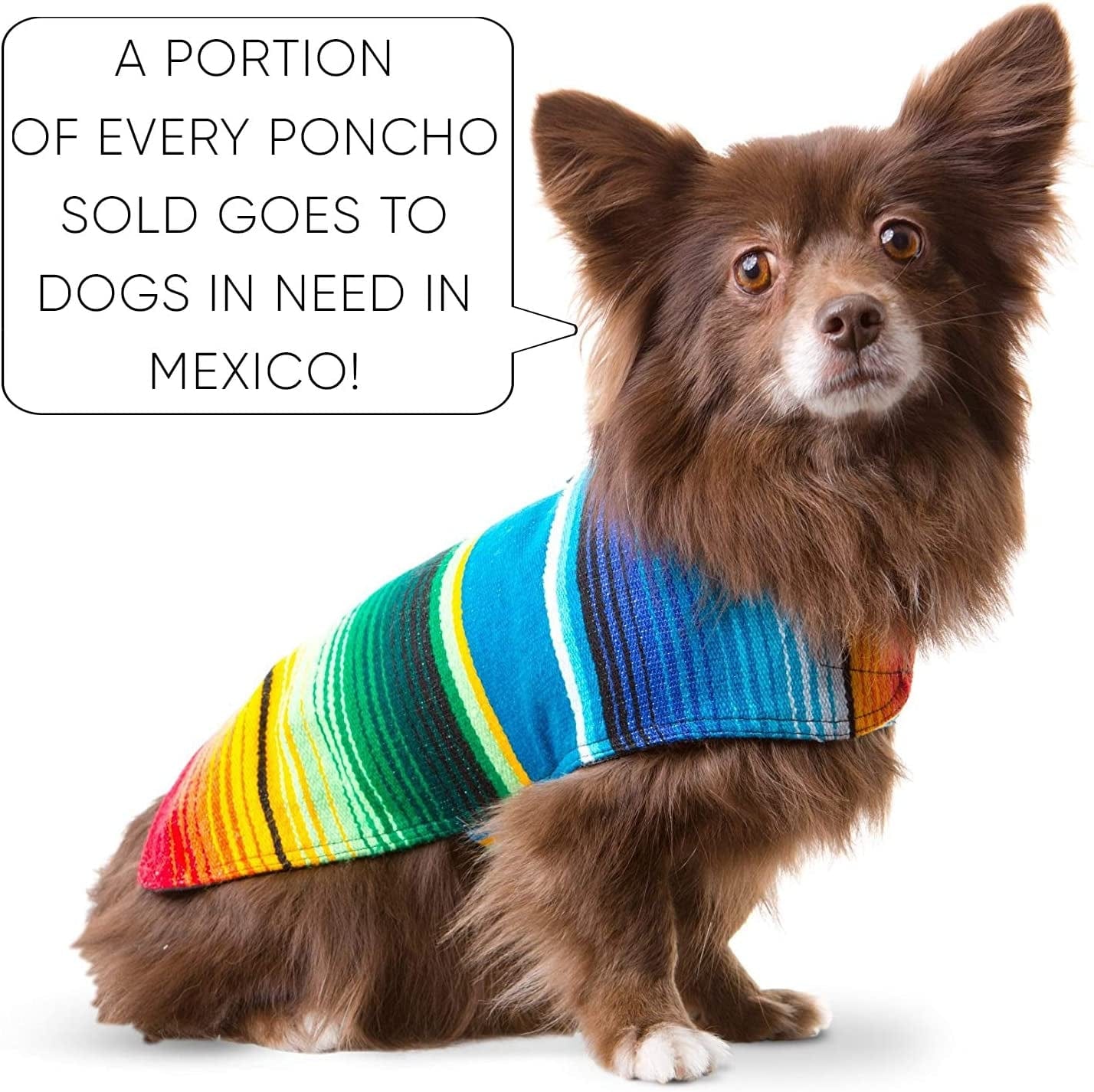 Dog Clothes - Handmade Dog Poncho - Cinco De Mayo Chihuahua Costume from Authentic Mexican Blanket (Blue, XXS)