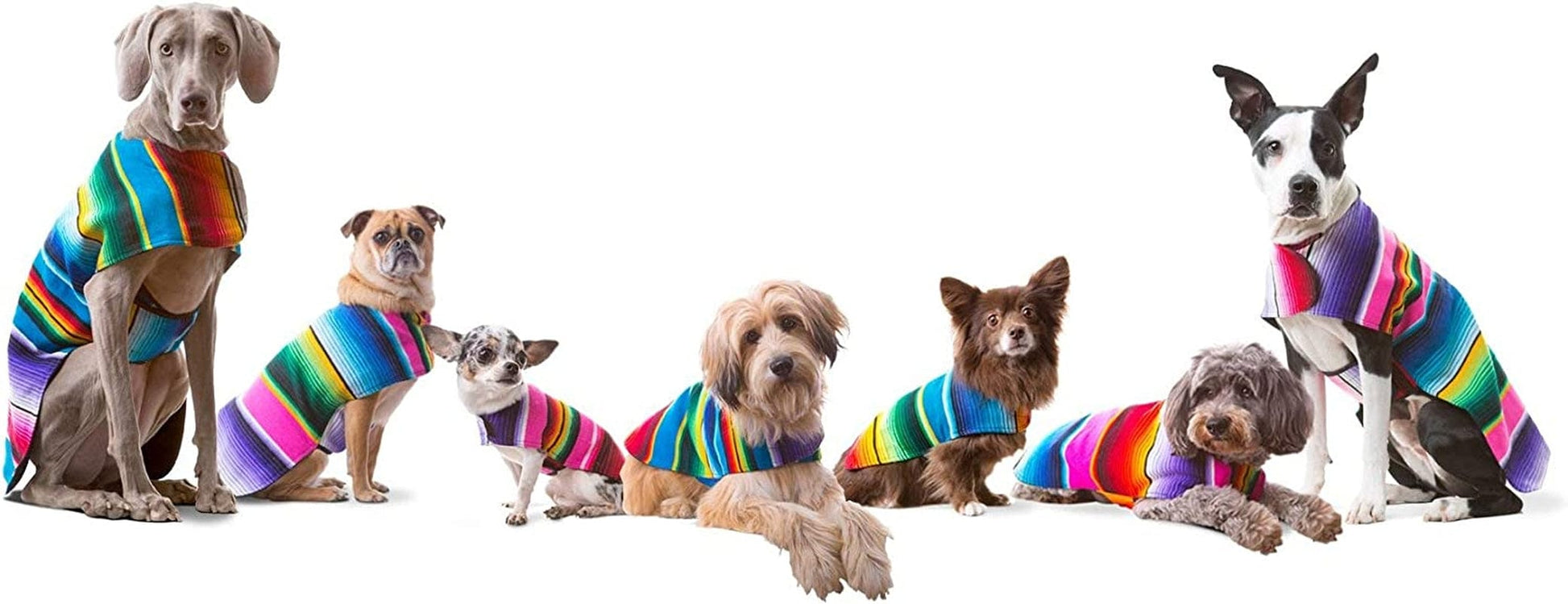 Dog Clothes - Handmade Dog Poncho - Cinco De Mayo Chihuahua Costume from Authentic Mexican Blanket (Blue, XXS) Animals & Pet Supplies > Pet Supplies > Dog Supplies > Dog Apparel Baja Ponchos   