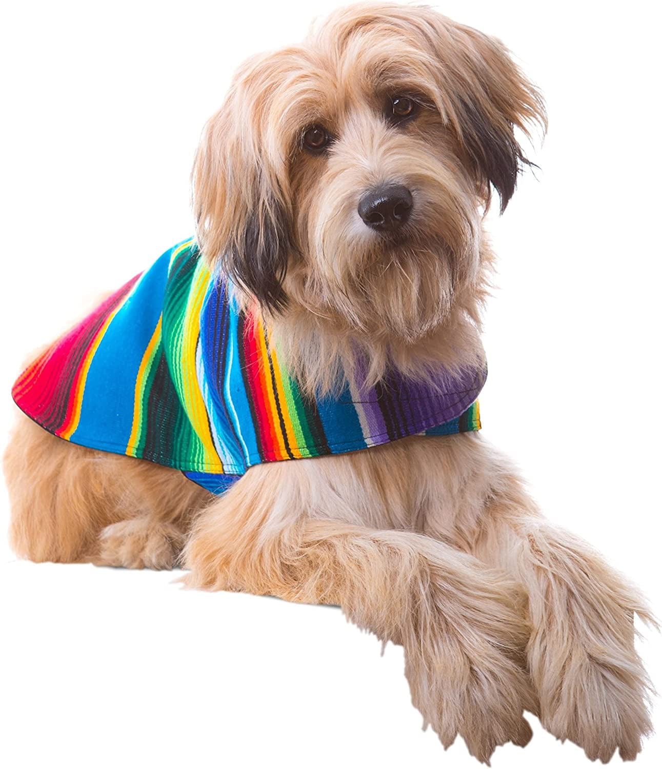 Dog Clothes - Handmade Dog Poncho - Cinco De Mayo Chihuahua Costume from Authentic Mexican Blanket (Blue, XXS) Animals & Pet Supplies > Pet Supplies > Dog Supplies > Dog Apparel Baja Ponchos   