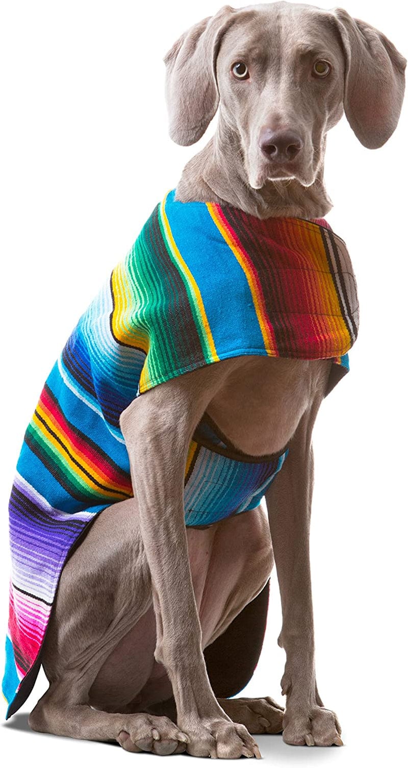 Dog Clothes - Handmade Dog Poncho - Cinco De Mayo Chihuahua Costume from Authentic Mexican Blanket (Blue, XXS) Animals & Pet Supplies > Pet Supplies > Dog Supplies > Dog Apparel Baja Ponchos Blue X-Large 